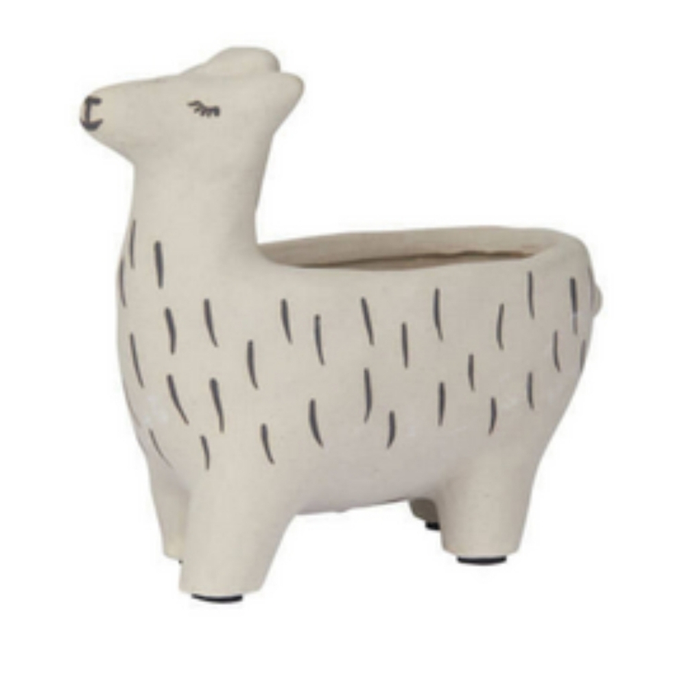 Anthro Lama Succulent Planter